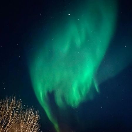 Appartment Close To The City, Ocean And Mountains -Tromsø Dış mekan fotoğraf