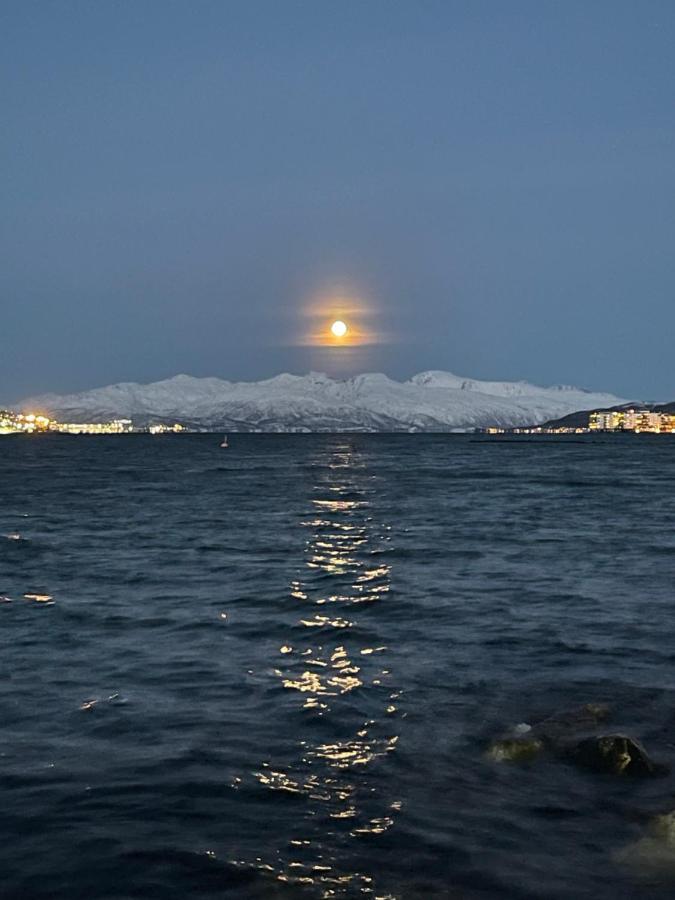 Appartment Close To The City, Ocean And Mountains -Tromsø Dış mekan fotoğraf